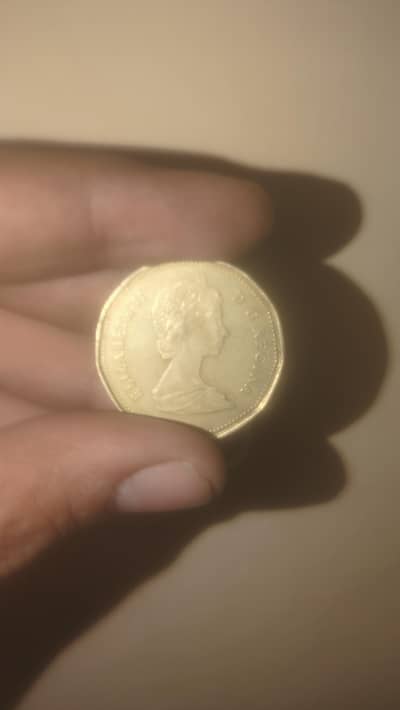 a old coin canada dollar 1989