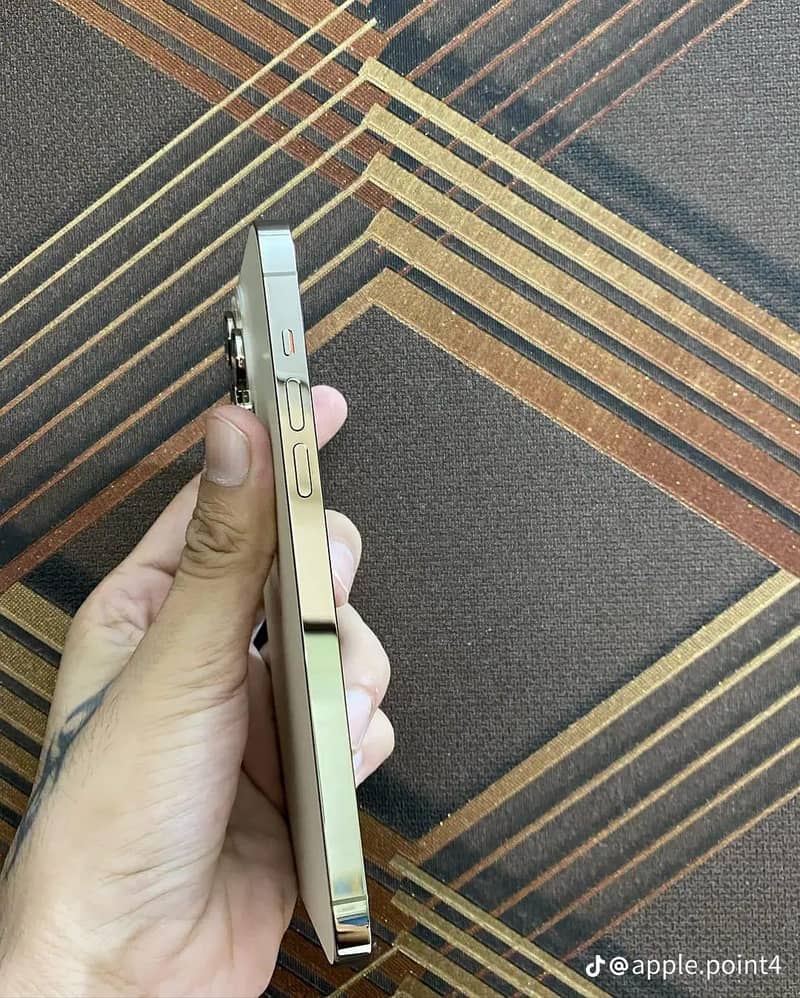 Apple iPhone 14 Pro Max 3
