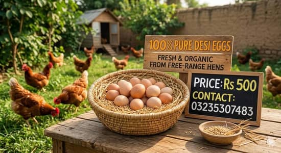 Desi eggs 500/dozen