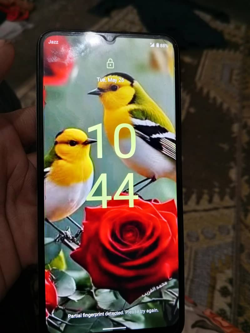 Nokia C31 3