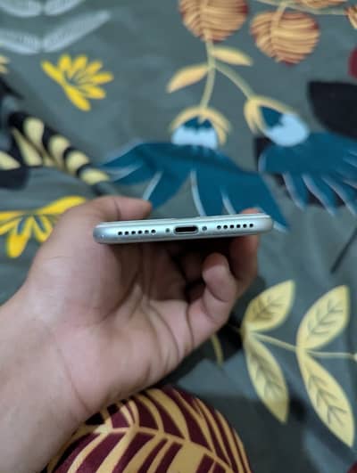 Iphone 7 pta approved
