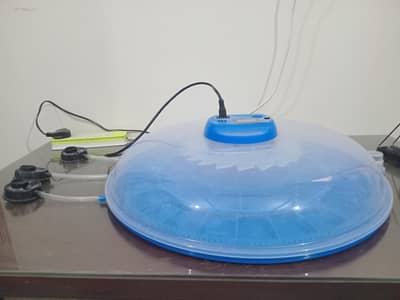 incubator for sale