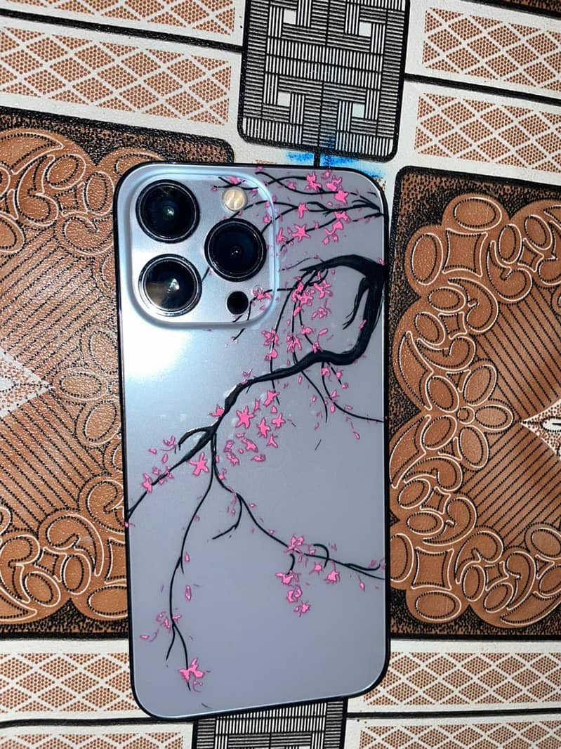 13 pro 0