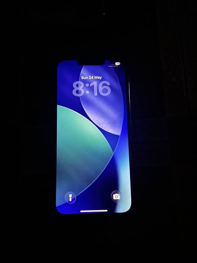 13 pro 1