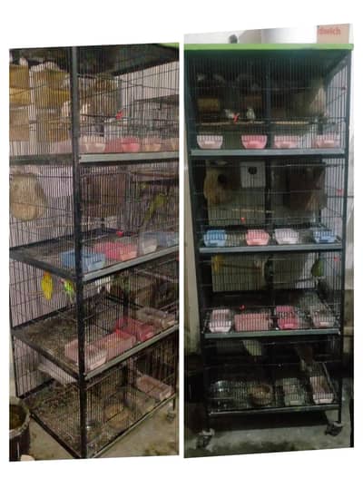 8 Porshan Cage 03127093372