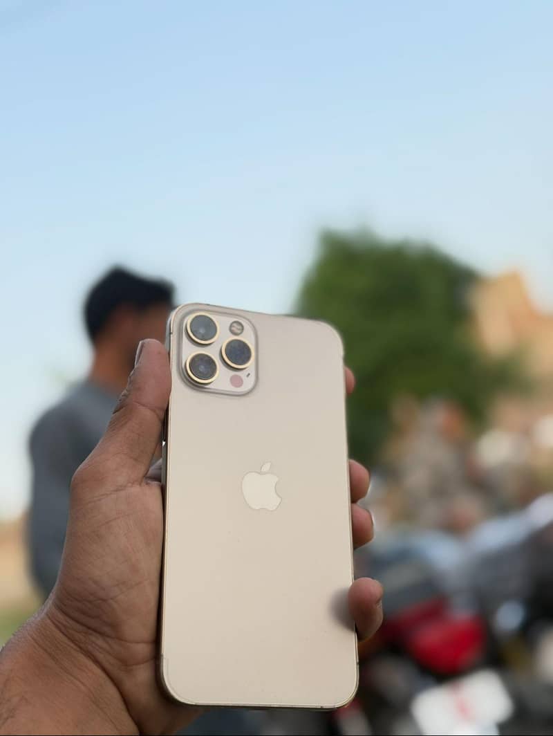 iPhone 12 Pro Max 1