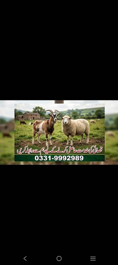 Bukra ki qurbani ka liya rabta kren