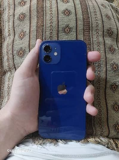 Apple iPhone 12