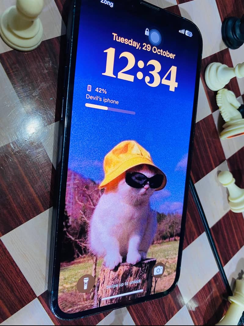 Apple iPhone 13 Pro Max 1