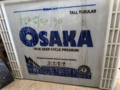 Tubular batteries in very good condition (TA1800)