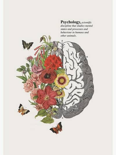 I am a Psychologist. . .