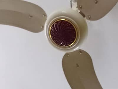 GFC ceiling fan