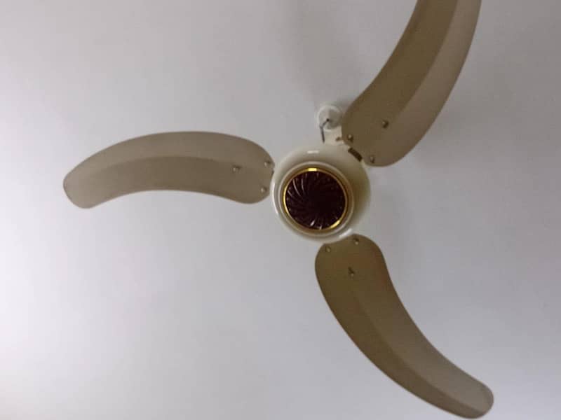 GFC ceiling fan 1