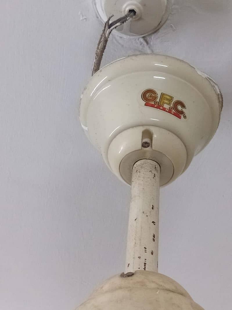 GFC ceiling fan 3