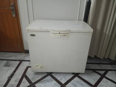 Freezer/ fridge/ D freezer
