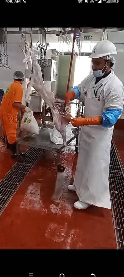 Kasai for Eid - Butcher 12+ years experience at Abudhabi