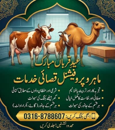 saleem qasai