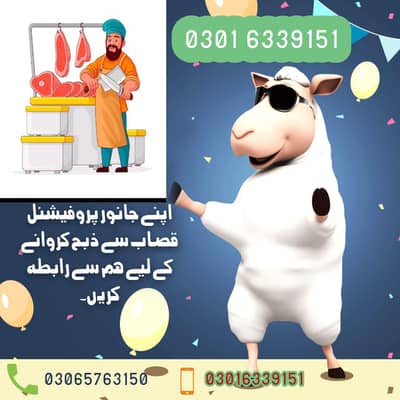 Qasai Available for Eid Day 1, 2&3
