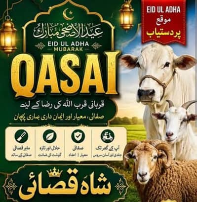 Qasai available hai