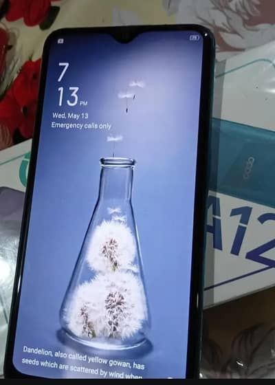 oppo a12 3GB RAM 32GB phone memory