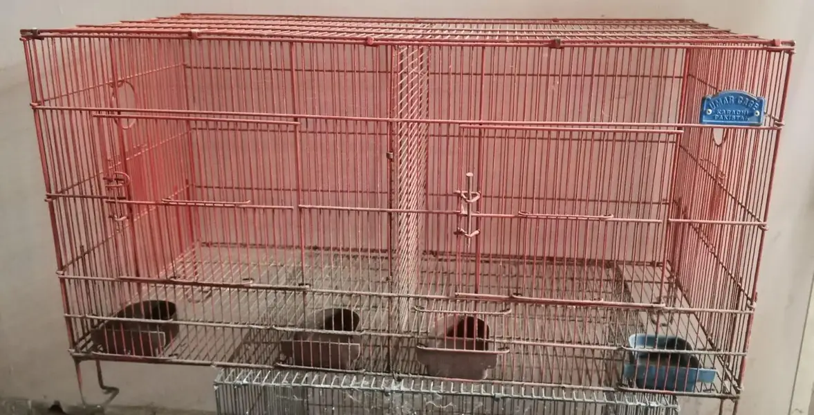Hen Cage — photo 2