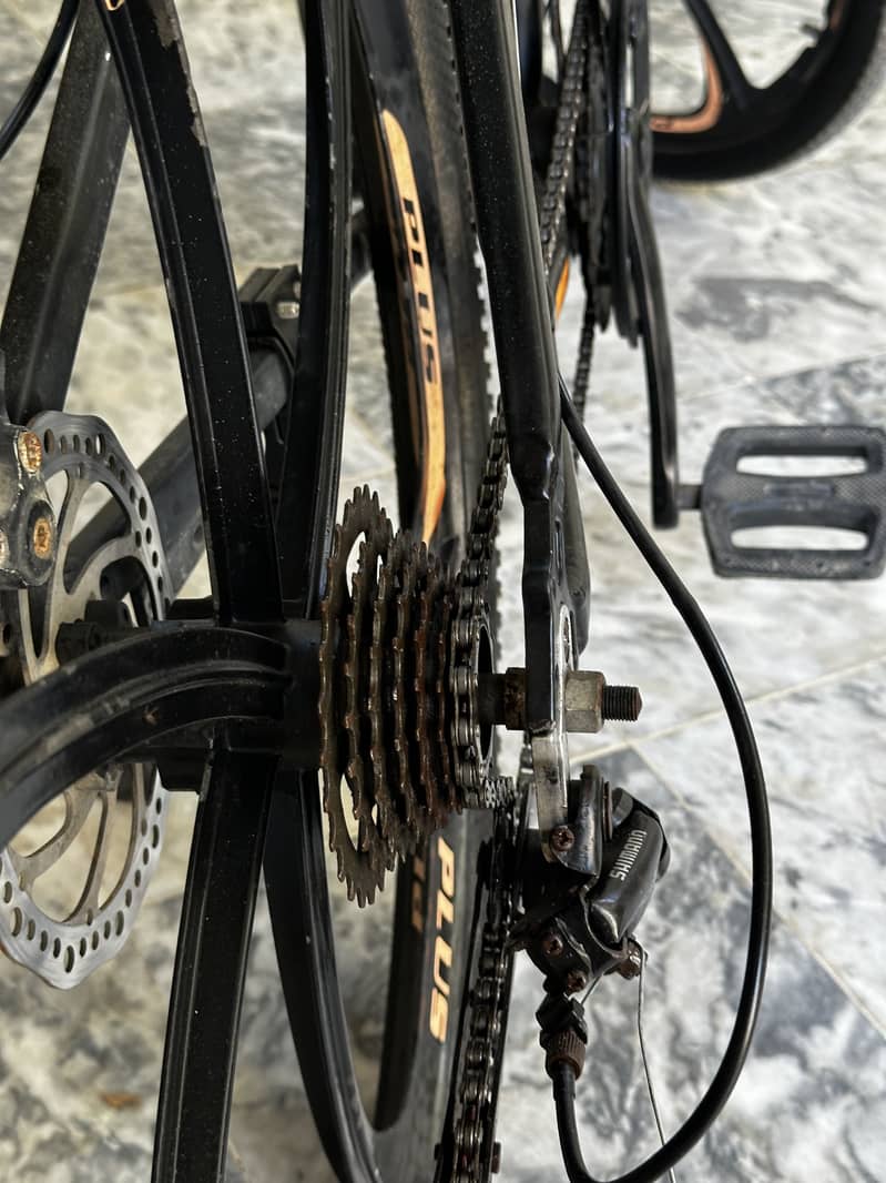 Plus cycle 2