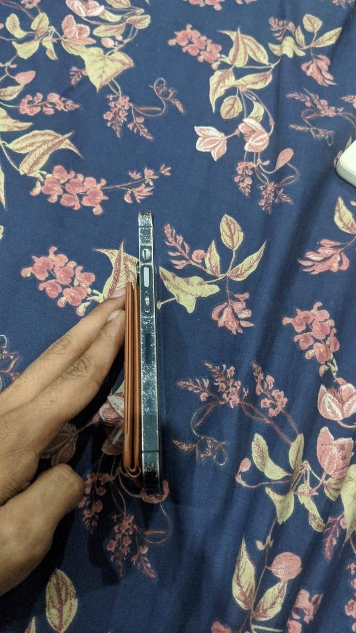 13 pro fu 256 1