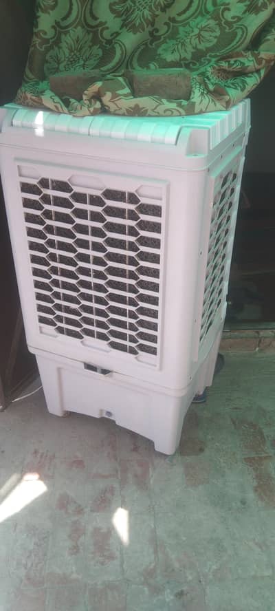 contect Whatsapp 03115500400