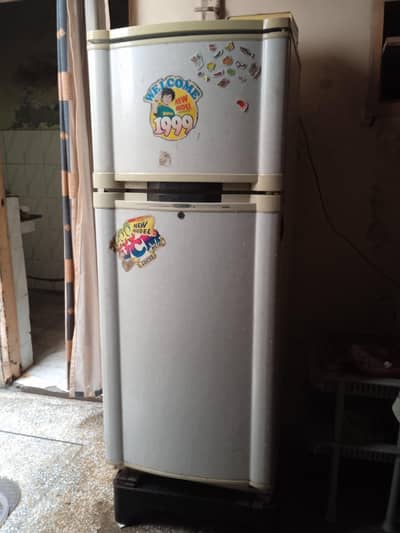 waves fridge