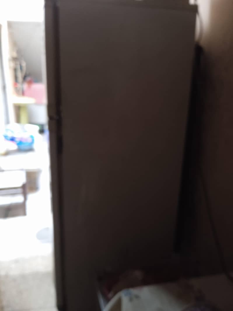 waves fridge 1