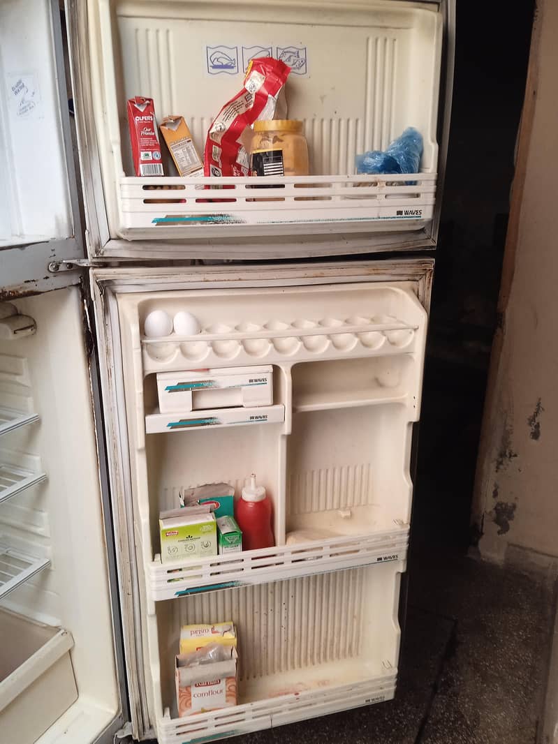 waves fridge 2