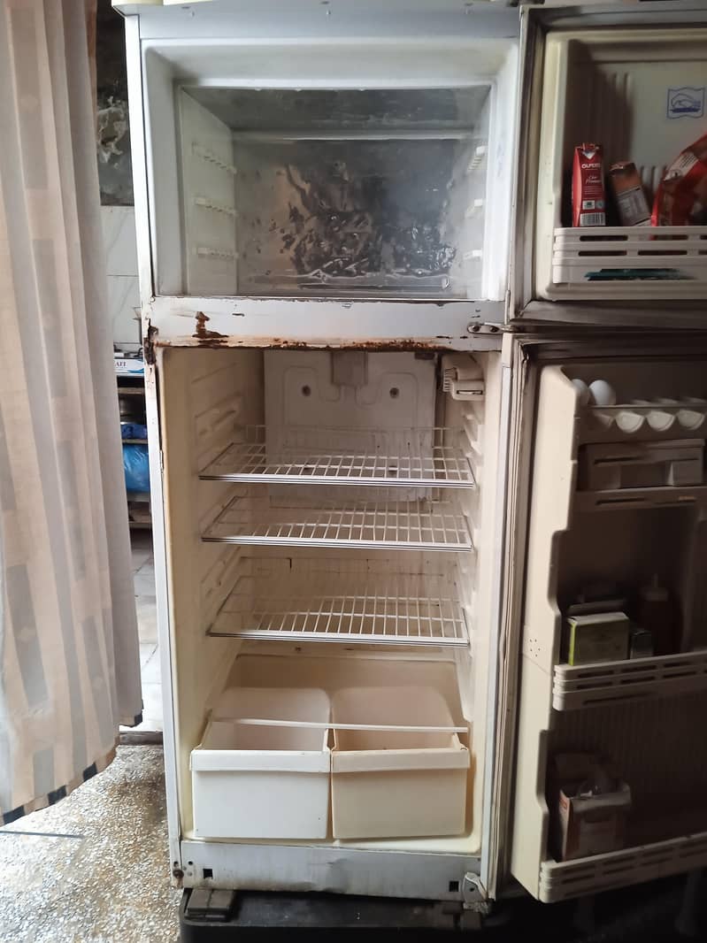 waves fridge 4
