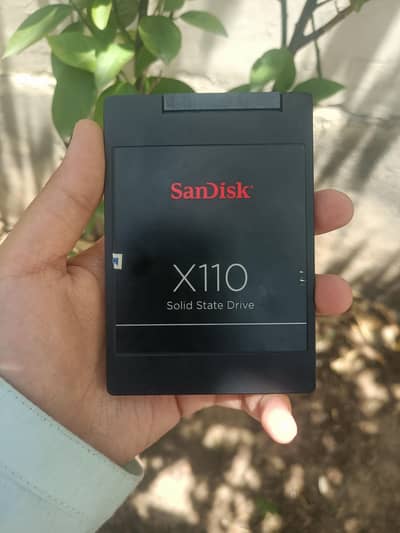 Sandisk X110 256GB
