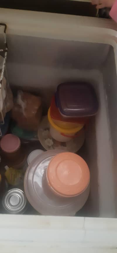 waves freezer+fridge in good working condition