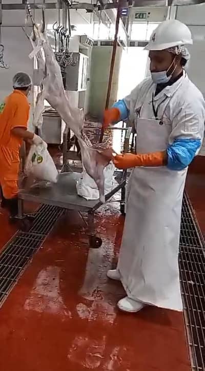 Professional Bakra Qurbani Butcher | 12+ Years Abu Dhabi Experience