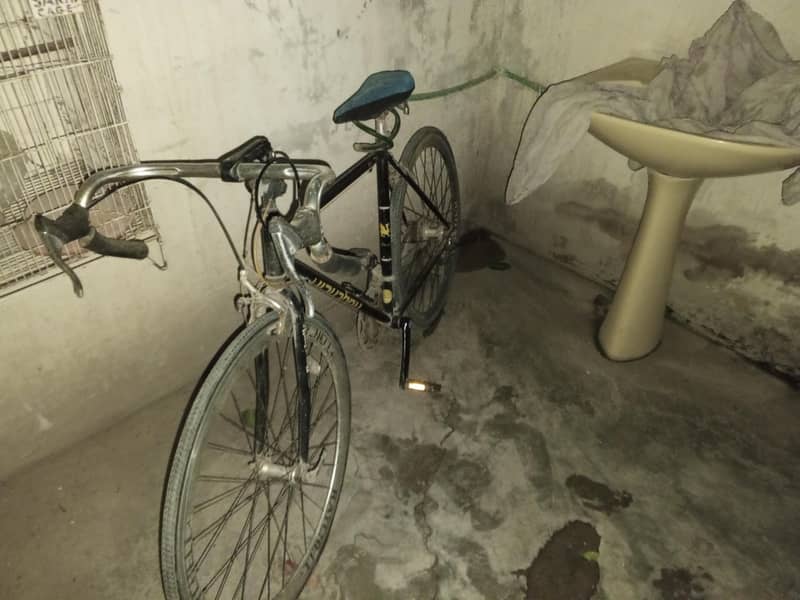 bicycle 0