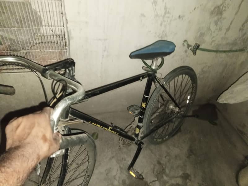 bicycle 2