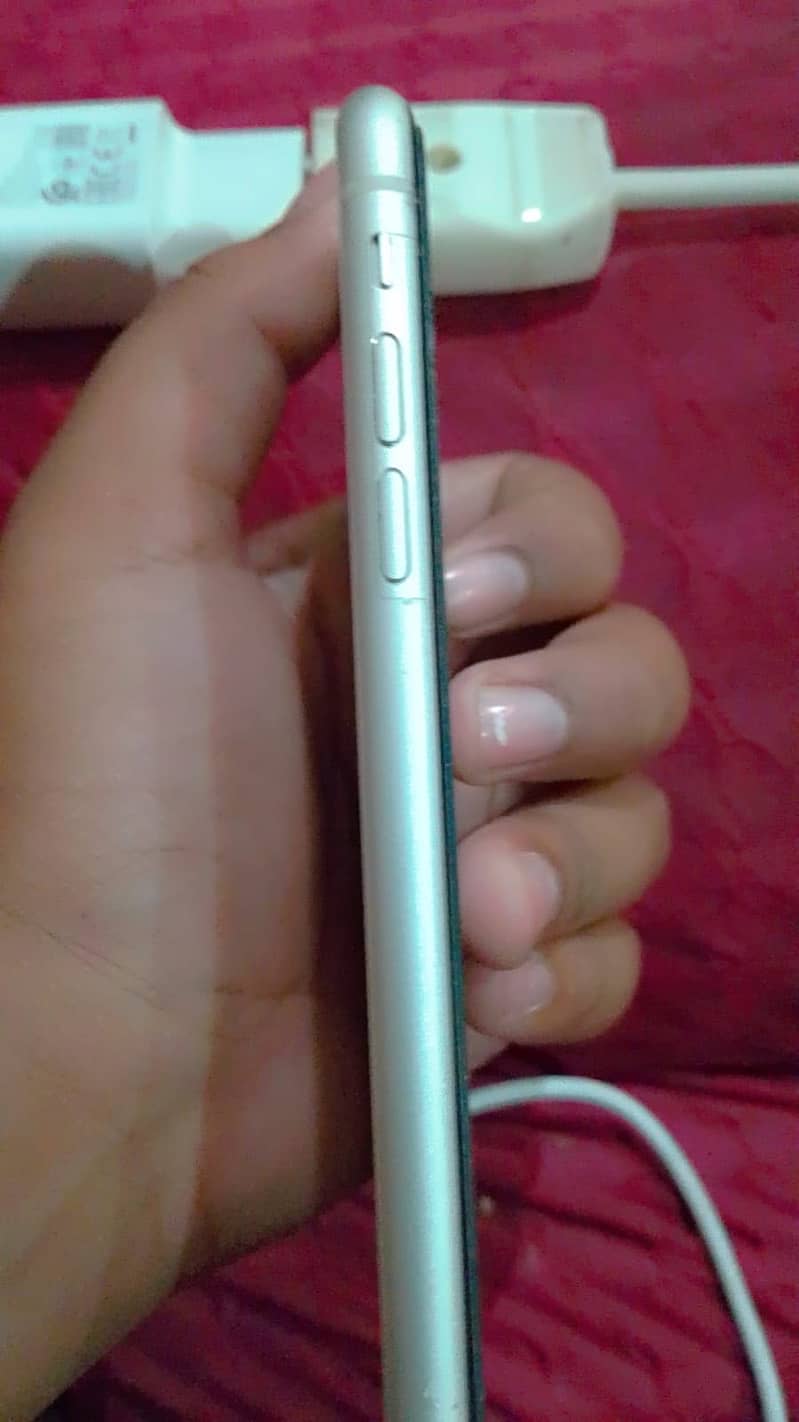 Apple iPhone 11 3
