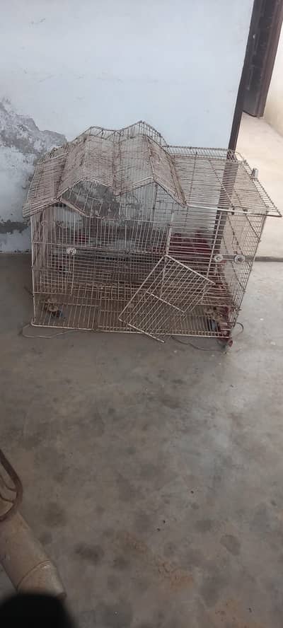 parrot cage four sel