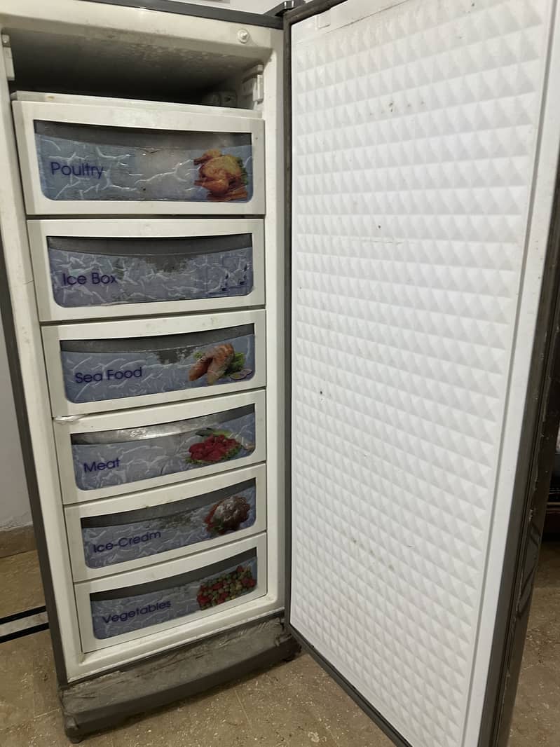 freezer 1