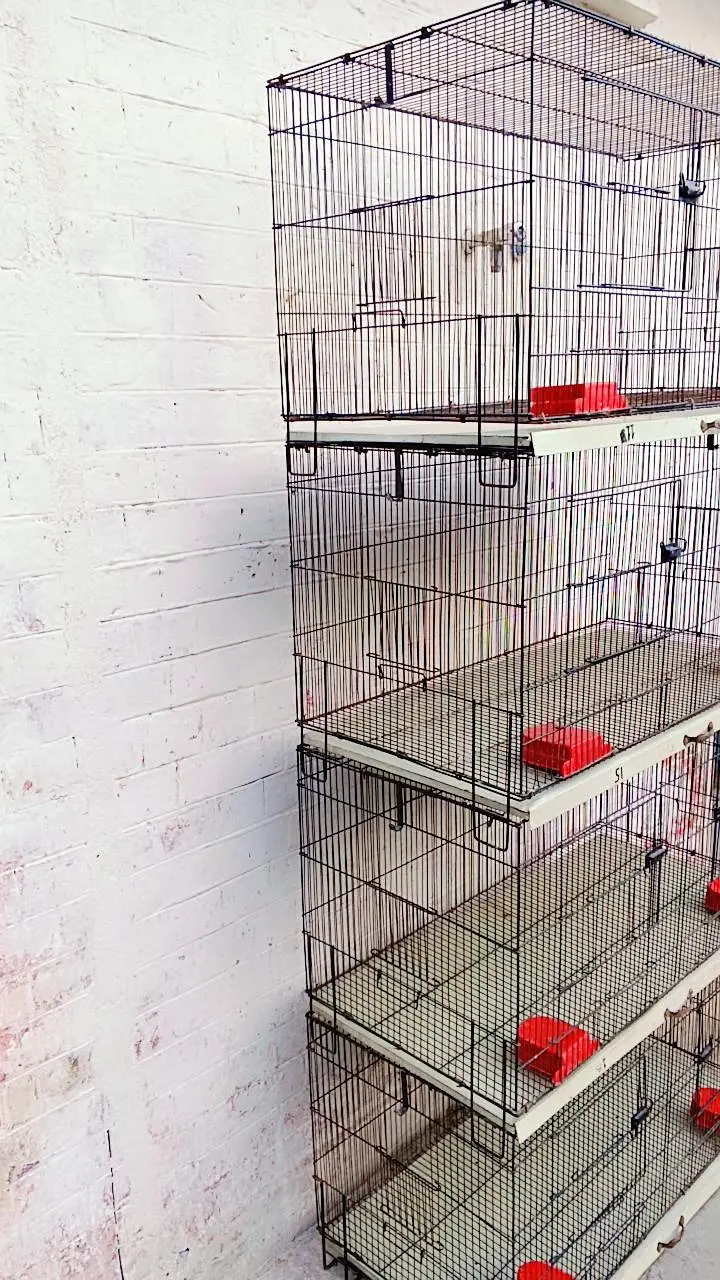 8 portions folding cage for sale in a brand new condition — photo 2