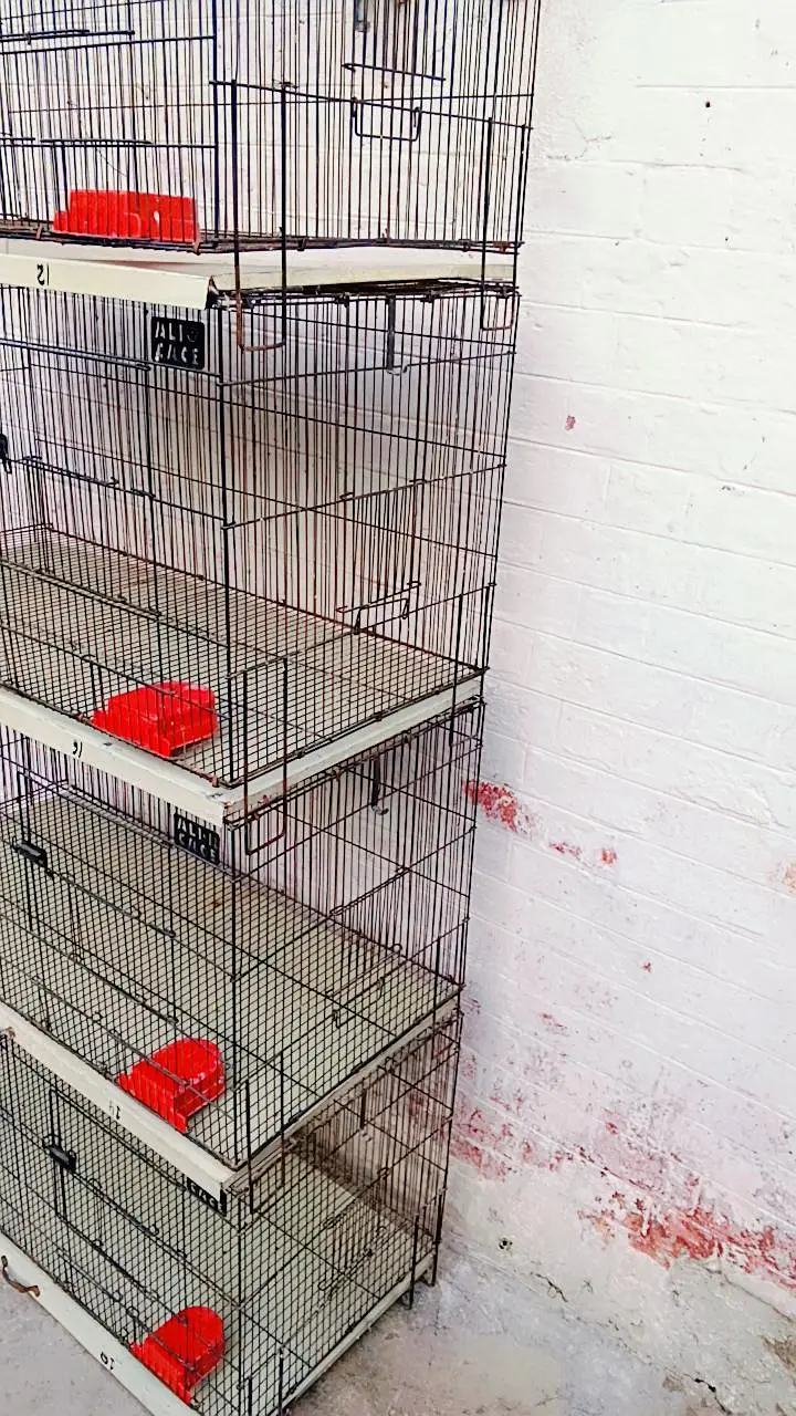8 portions folding cage for sale in a brand new condition — photo 3