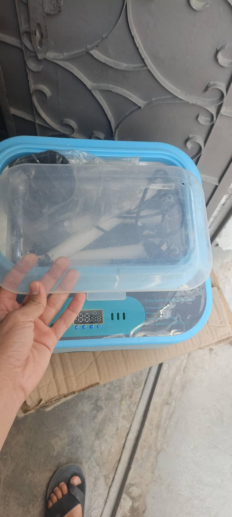 incubator 1
