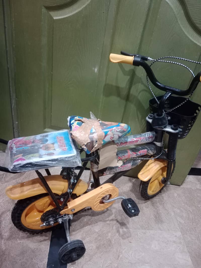 cycle 2