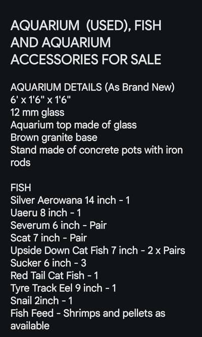 Aquarium and Fish