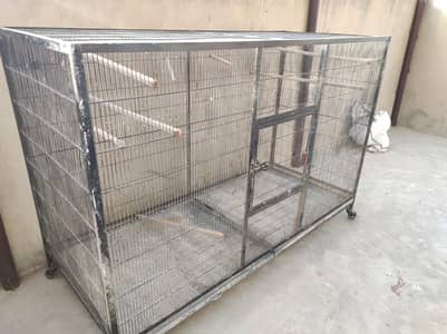 Lovebirds Cages