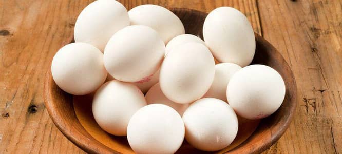 ducks fertile eggs for sale