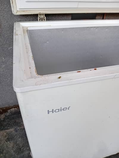 d freezer single door