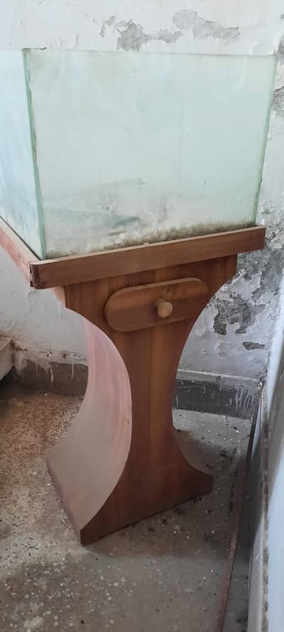 fish aquarium
