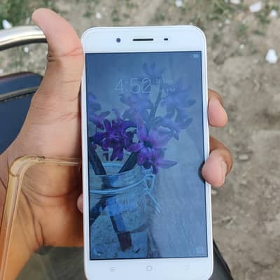 vivo y 66 10 10 only phone  and charger03225918361 watsap